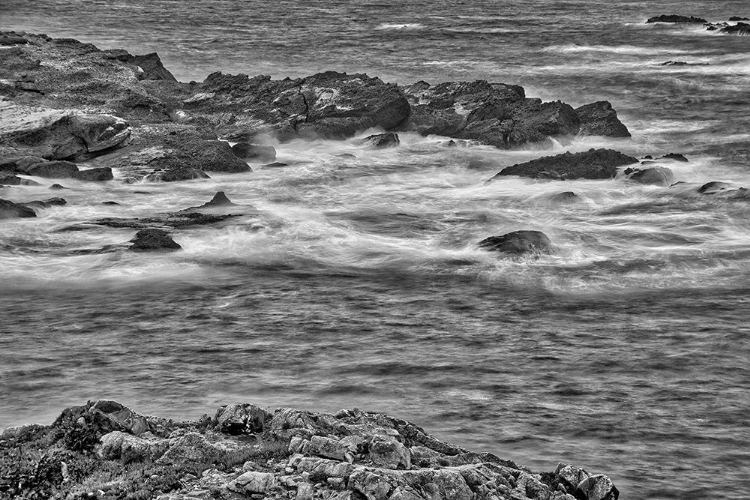 Picture of POINT LOBOS-CARMEL-CALIFORNIA