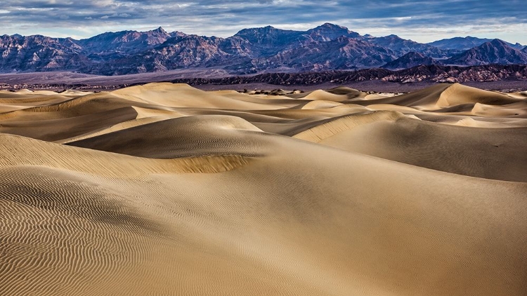 Picture of MESQUITE DUNES-DEATH VALLEY NATIONAL PARK-CALIFORNIA