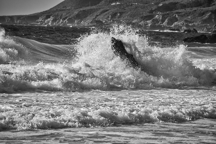 Picture of GARAPATA BEACH-CARMEL BY THE SEA-CALIFORNIA