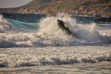 Picture of GARAPATA BEACH-CARMEL BY THE SEA-CALIFORNIA