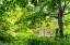 Picture of A WOODEN BRIDGE CROSSING A SMALL CREEK ALONGSIDE A DIRT PATH IN A VERY GREEN-LUSH FOREST SETTING