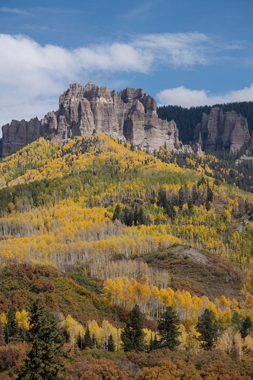 Picture of USA-COLORADO-UNCOMPAHGRE NATIONAL FOREST MOUNTAIN AND FOREST IN AUTUMN