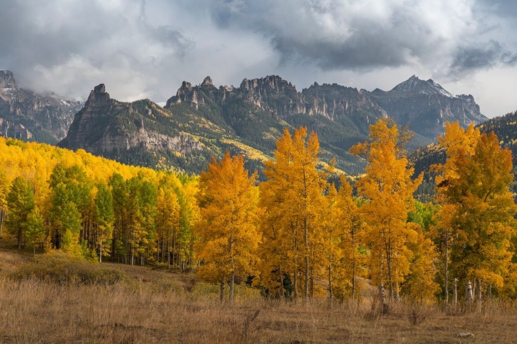 Picture of USA-COLORADO-UNCOMPAHGRE NATIONAL FOREST MOUNTAIN AND FOREST IN AUTUMN