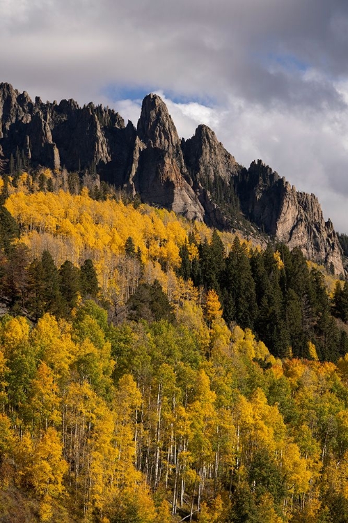 Picture of USA-COLORADO-UNCOMPAHGRE NATIONAL FOREST MOUNTAIN AND FOREST IN AUTUMN