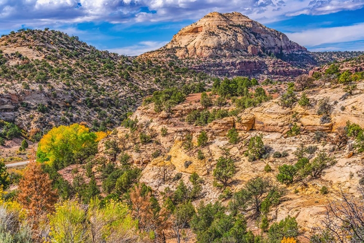 Picture of COLORFUL AUTUMN-CANYONLANDS NATIONAL PARK-NEEDLES DISTRICT-UTAH