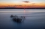 Picture of USA-GEORGIA-JEKYLL ISLAND-SUNSET AT DRIFTWOOD BEACH AND THE PETRIFIED TREES