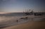 Picture of USA-GEORGIA-JEKYLL ISLAND-SUNSET AT DRIFTWOOD BEACH AND THE PETRIFIED TREES