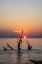 Picture of USA-GEORGIA-JEKYLL ISLAND-SUNRISE ON DRIFTWOOD BEACH OF PETRIFIED TREES