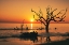 Picture of USA-GEORGIA-JEKYLL ISLAND-SUNRISE ON DRIFTWOOD BEACH OF PETRIFIED TREES