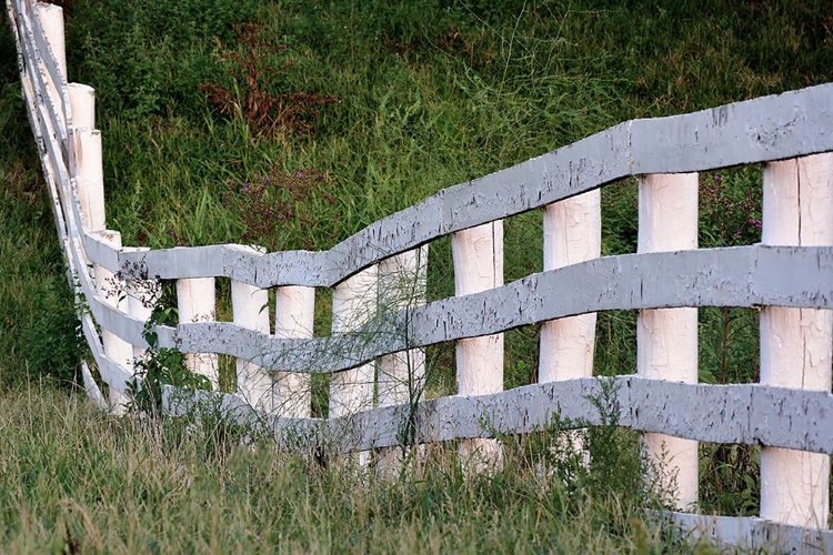 Picture of WHITE WOODEN FENCE ACROSS ROLLING HILL-SHAKER VILLAGE OF PLEASANT HILL-HARRODSBURG-KENTUCKY