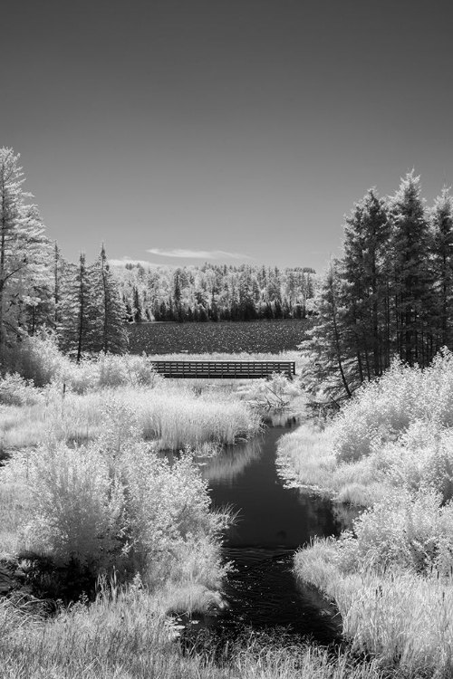 Picture of USA-MINNESOTA-LA SALLE STATE RECREATION AREA