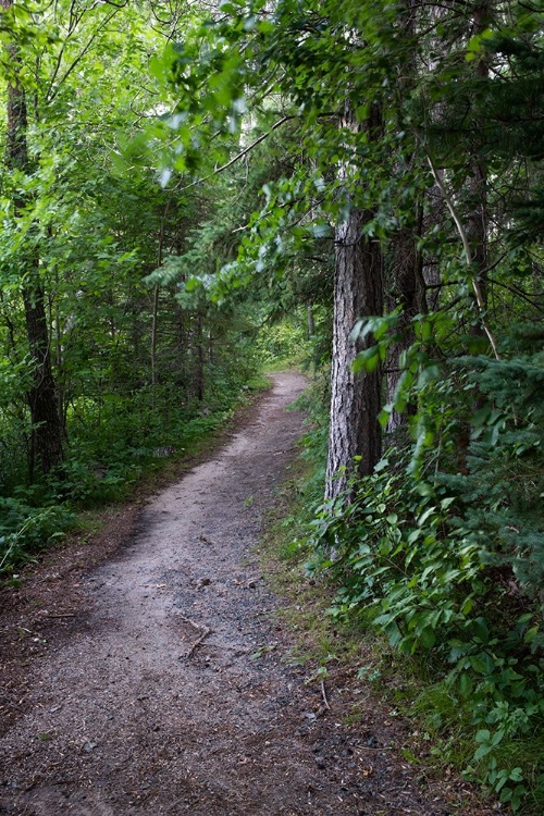 Picture of USA-MINNESOTA-LA SALLE STATE RECREATION AREA