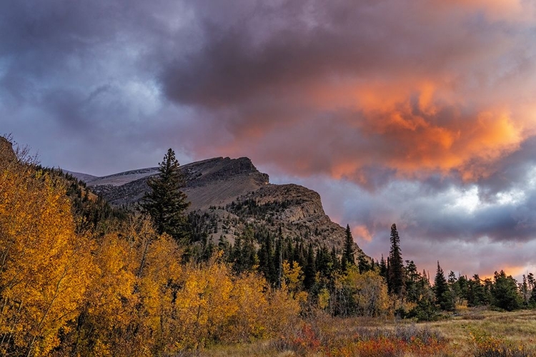 Picture of SUNRISE CLOUDS OVER BEAR MOUNTAIN IN GLACIER NATIONAL PARK-MONTANA-USA