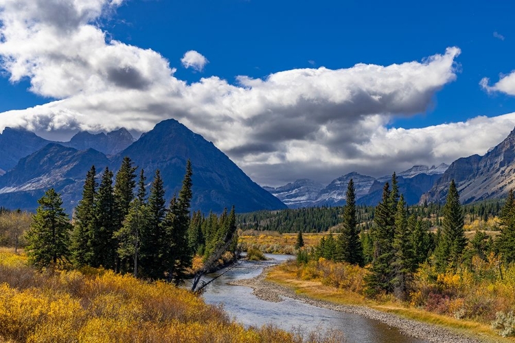 Picture of AUTUMN HUES ALONG THE BELLY RIVER IN GLACIER NATIONAL PARK-MONTANA-USA