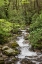 Picture of CASCADING MOUNTAIN STREAM-GREAT SMOKY MOUNTAINS NATIONAL PARK-TENNESSEE-NORTH CAROLINA