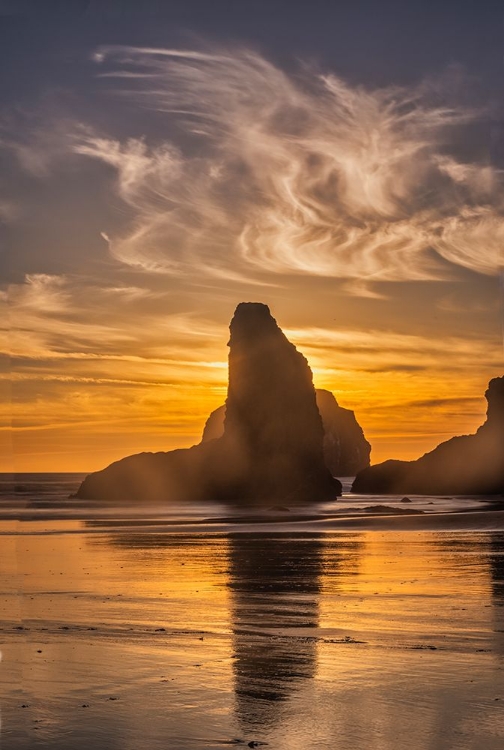 Picture of BANDON BEACH-OREGON