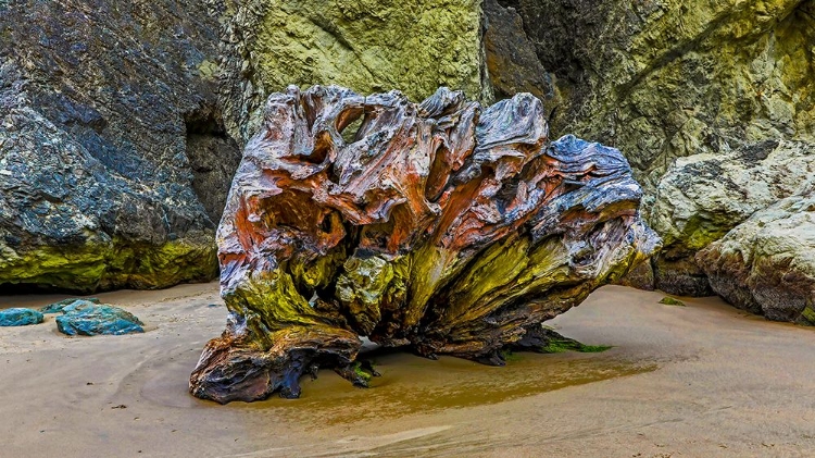 Picture of USA-OREGON-BANDON-BEACH