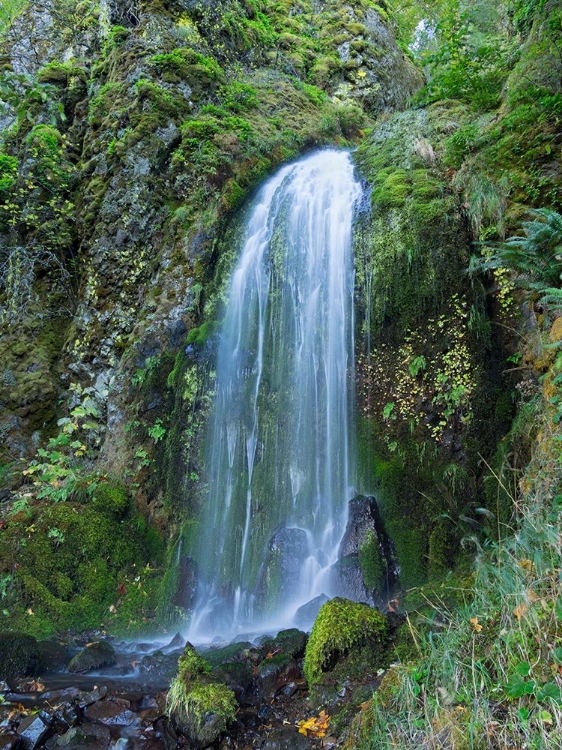 Picture of OREGON-COLUMBIA RIVER GORGE NATIONAL SCENIC AREA-LANCASTER FALLS