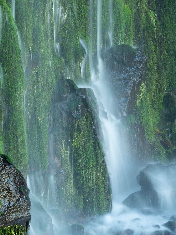 Picture of OREGON-COLUMBIA RIVER GORGE NATIONAL SCENIC AREA-LANCASTER FALLS