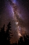 Picture of MILKY WAY OVER CEDAR BREAKS NATIONAL MONUMENT-UTAH-USA