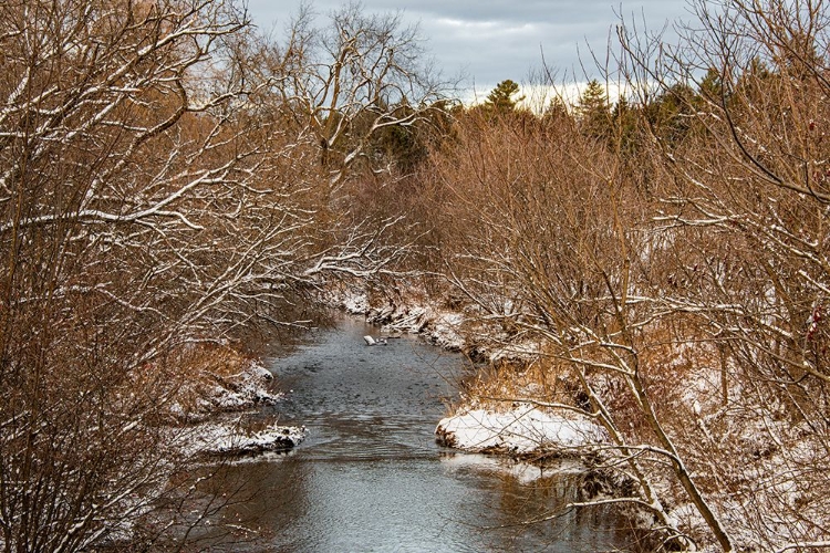 Picture of USA-VERMONT-MORRISVILLE