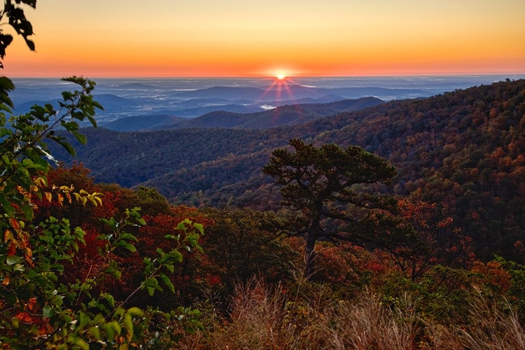 Picture of USA-VIRGINIA-SHENANDOAH NATIONAL PARK-SUNRISE ALONG SKYLINE DRIVE IN THE FALL