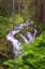 Picture of SOL DUC RIVER AND FALLS-OLYMPIC NATIONAL PARK-WASHINGTON STATE