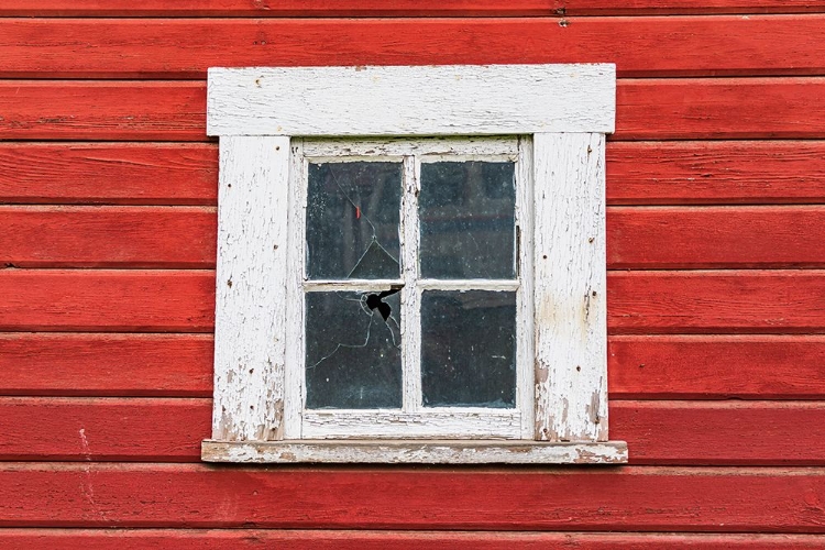 Picture of LATAH-WASHINGTON STATE-USA-WHITE FRAMED WINDOW IN A RED BARN