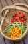 Picture of ISSAQUAH-WASHINGTON STATE-USA BASKET OF FRESHLY PICKED STRAWBERRIES