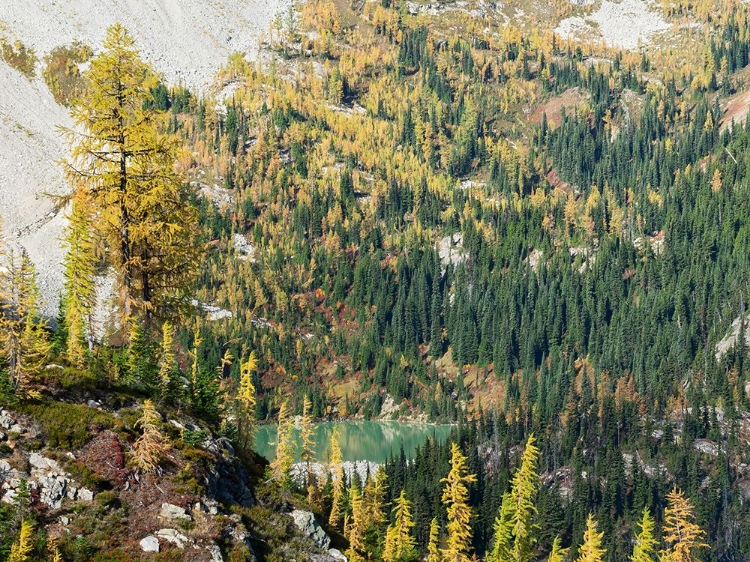 Picture of WASHINGTON STATE-NORTH CASCADES-LEWIS LAKE-VIEW FROM HEATHER PASS