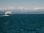 Picture of WASHINGTON STATE-SEATTLE-WASHINGTON STATE FERRY ON ELLIOTT BAY-OLYMPIC MOUNTAINS IN BACKGROUND