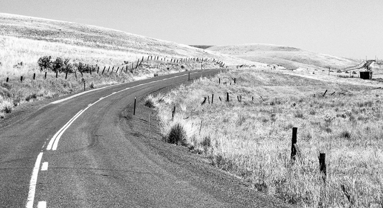 Picture of USA-WASHINGTON STATE-BENGE WASHTUCNA ROAD IN BLACK AND WHITE