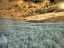 Picture of USA-WASHINGTON STATE-PALOUSE-WHEAT FIELD AND CLOUDS