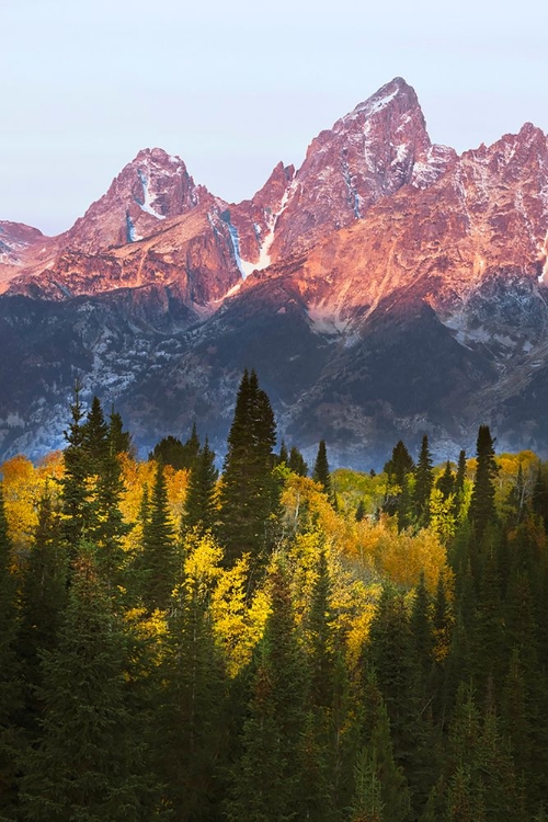 Picture of AUTUMN VIEW OF TETON RANGE AT SUNRISE-GRAND TETON NATIONAL PARK-WYOMING