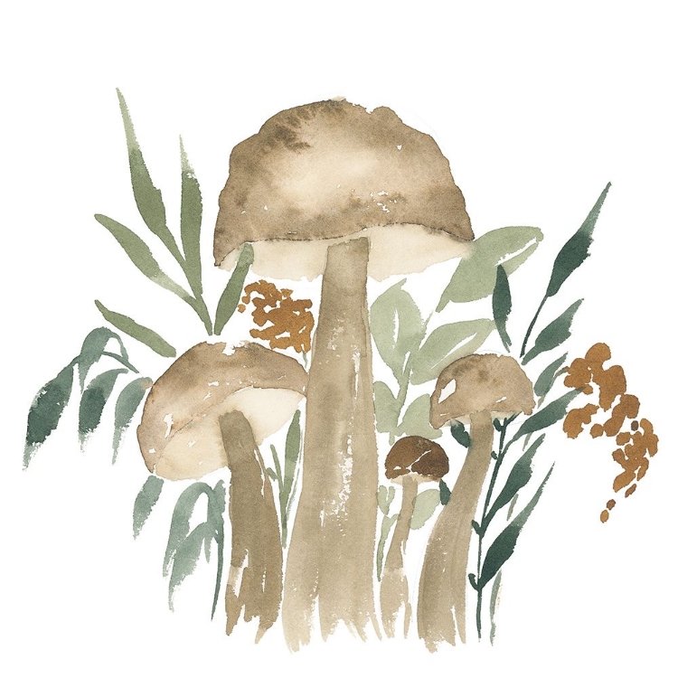 Picture of MUSHROOM GARDEN II