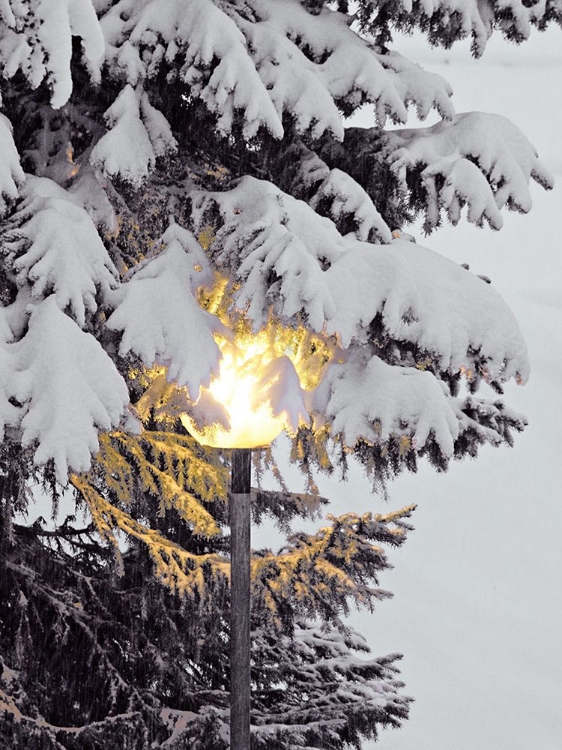 Picture of SNOWY LAMPOST