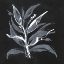 Picture of CHALKBOARD BRANCH II