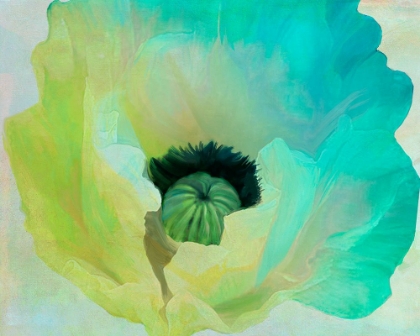 Picture of POPPY GRADIENT I