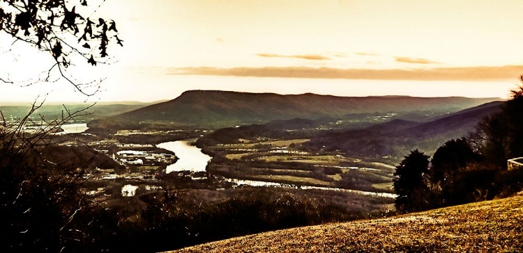 Picture of ANTIQUE LOOKOUT