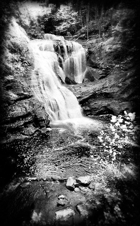 Picture of BALD RIVER FALLS HOLGA