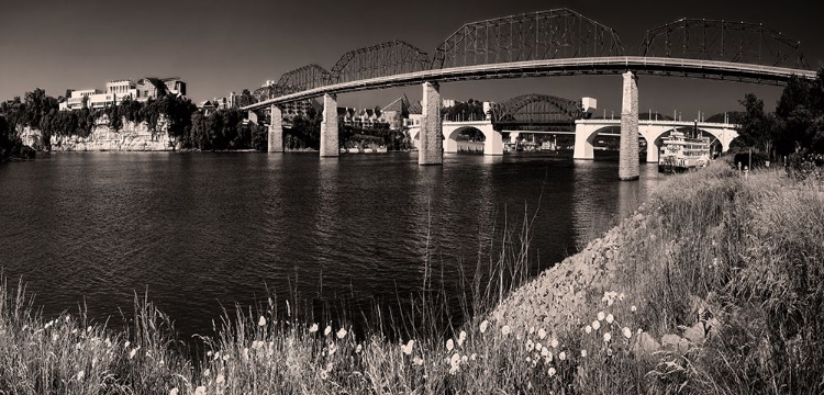 Picture of BRIDGE POPPIES SEPIA