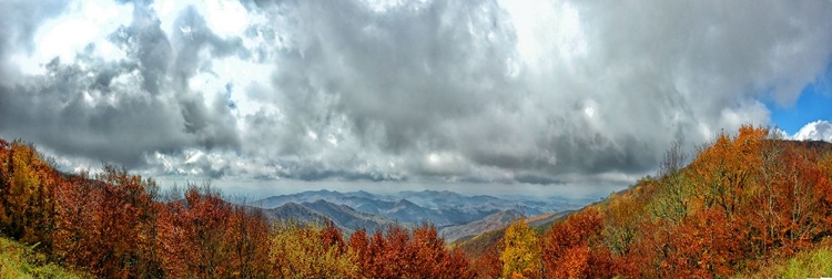 Picture of CHEROHALA PANO