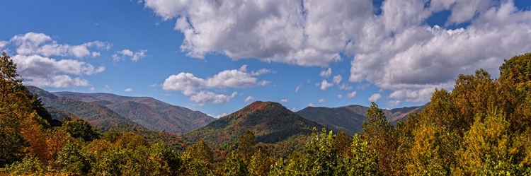 Picture of FALL VISTA