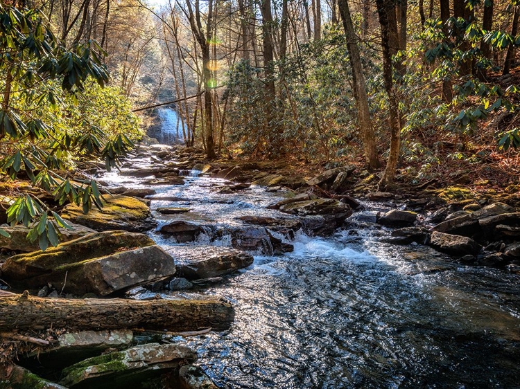 Picture of STINGING FORK CREEK 1