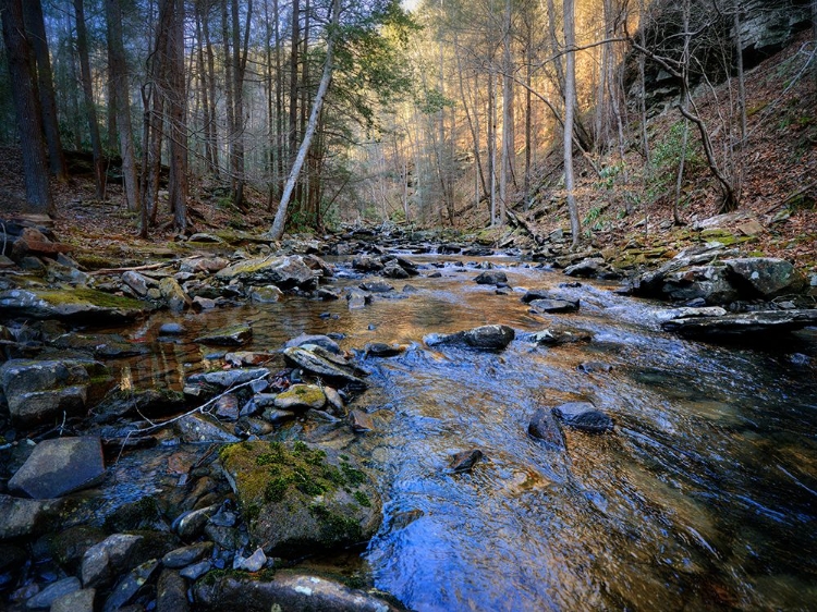 Picture of STINGING FORK CREEK 2