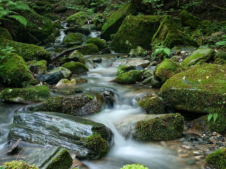 Picture of STREAM 9