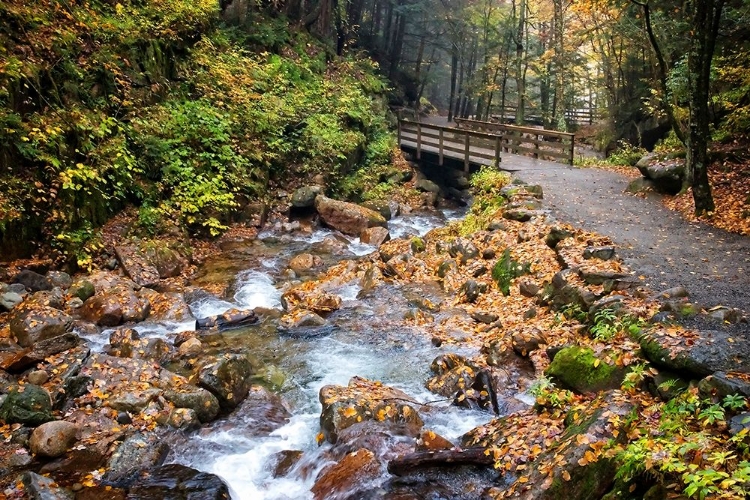 Picture of WATERFALL AND WALKING PATH