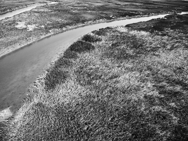 Picture of MONOCHROME MARSH