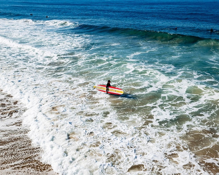 Picture of THE SURFER