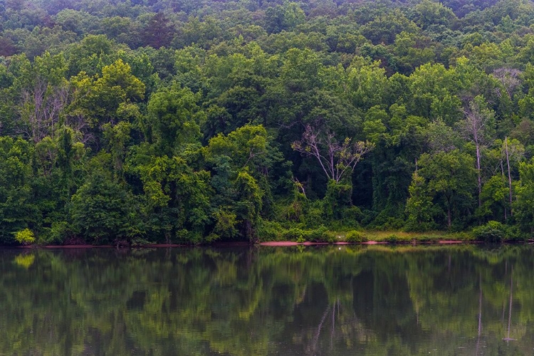 Picture of ACROSS THE RIVER